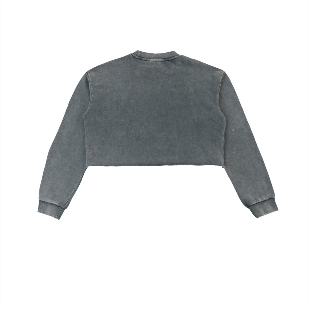 Snow Washed Raw Edge Cropped Sweatshirt