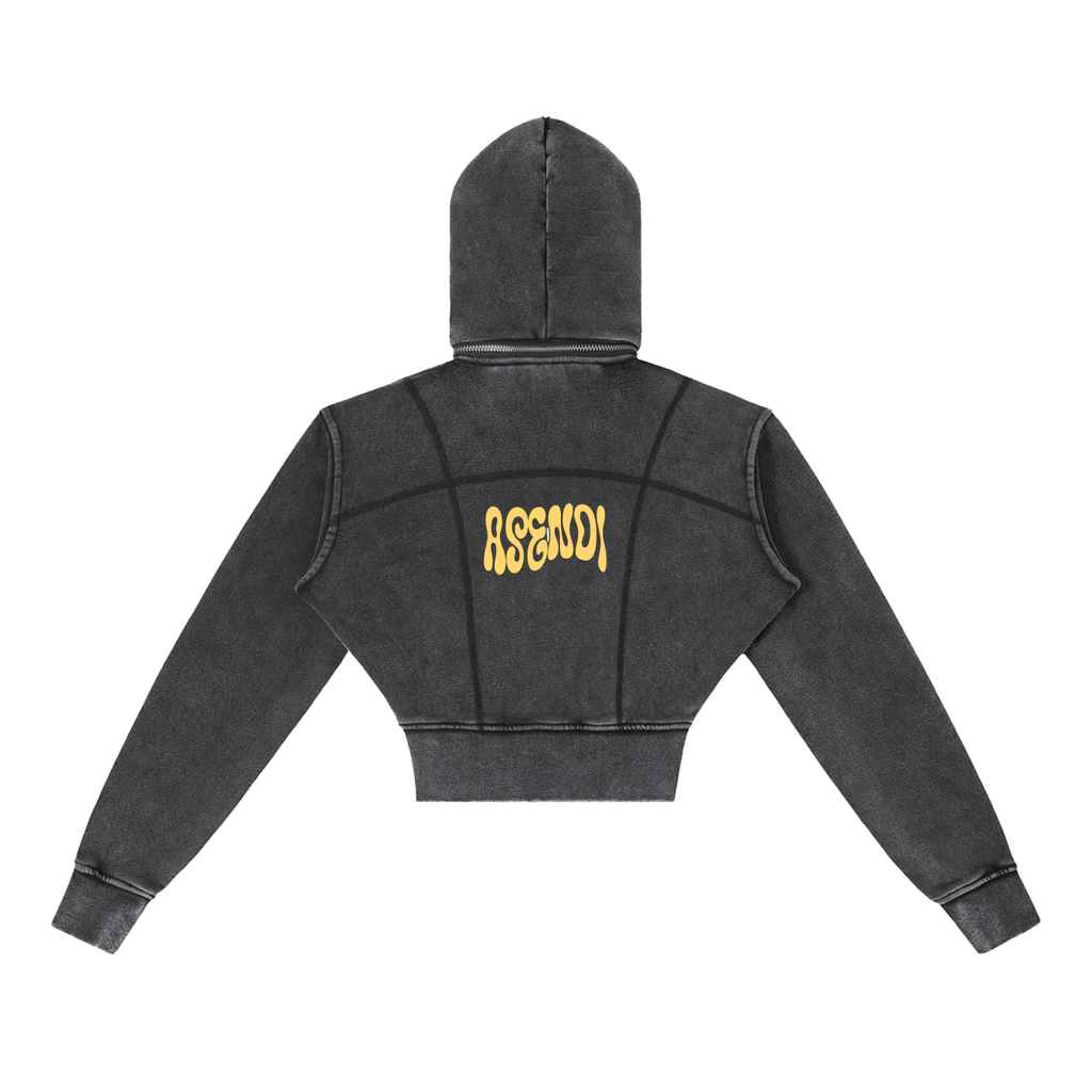 Vintage Washed Cropped Fleece Hoodie