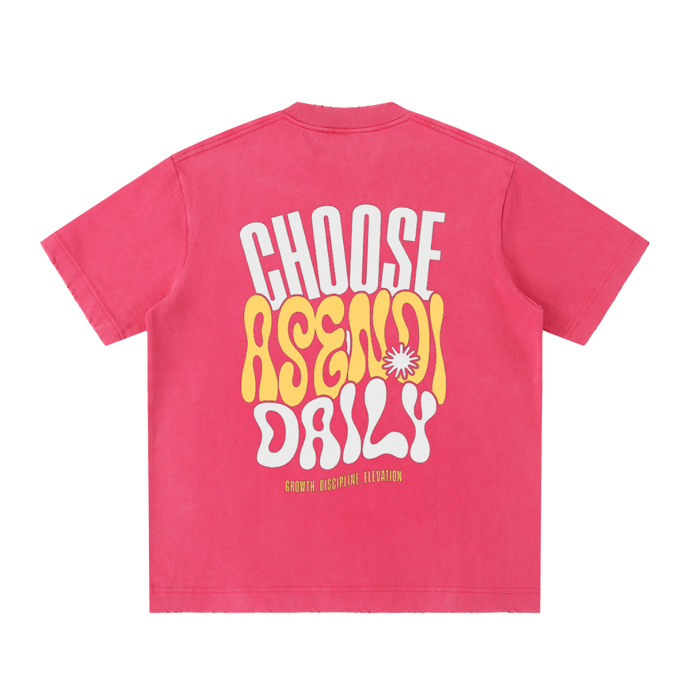 Heavyweight Vintage Washed Frayed T-Shirt