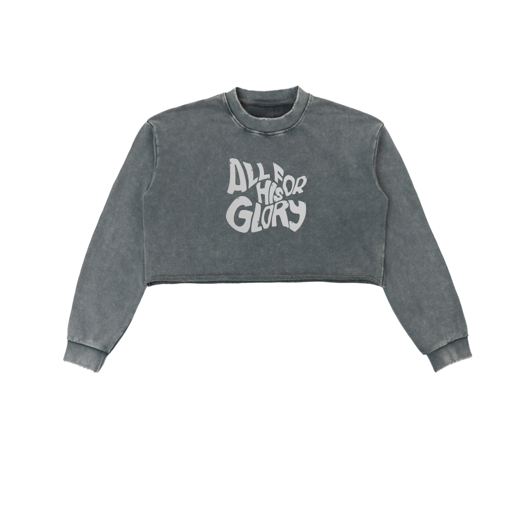 Snow Washed Raw Edge Cropped Sweatshirt